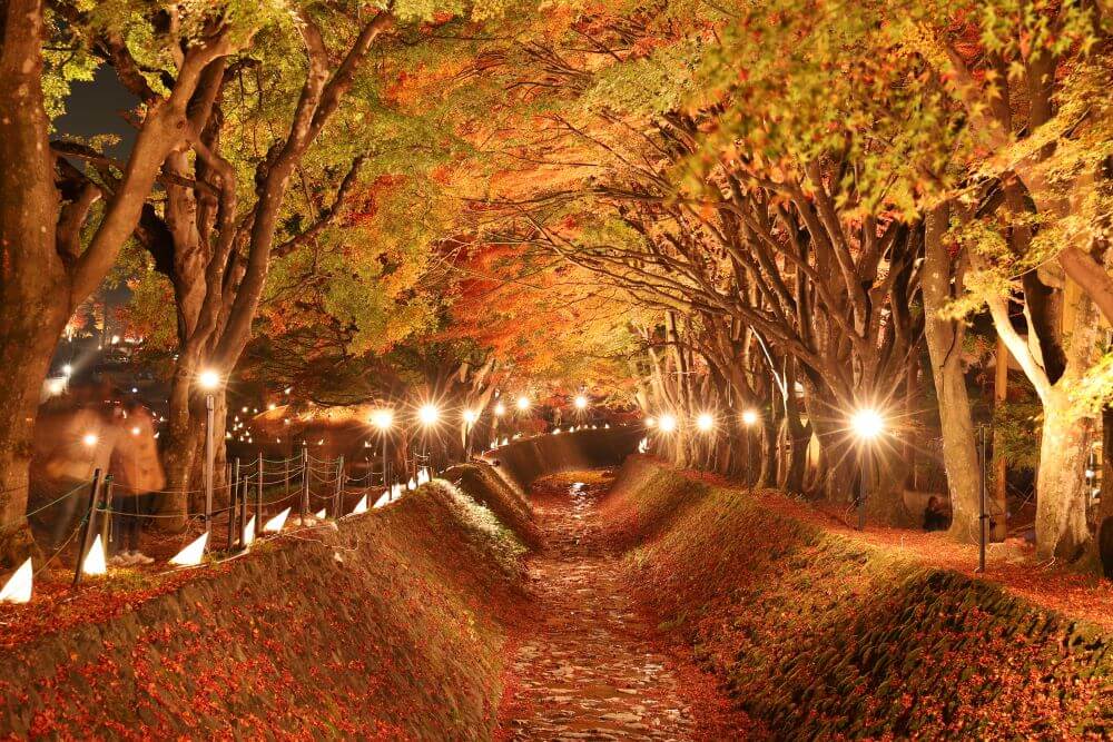 西沢渓谷の紅葉