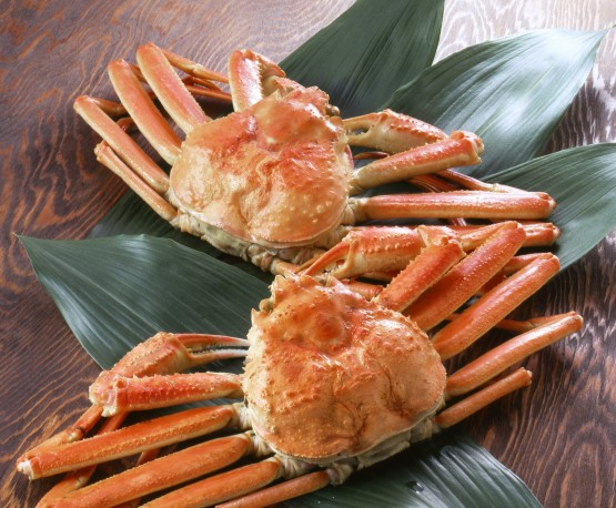 冬のごちそう豪華会席 料理イメージ