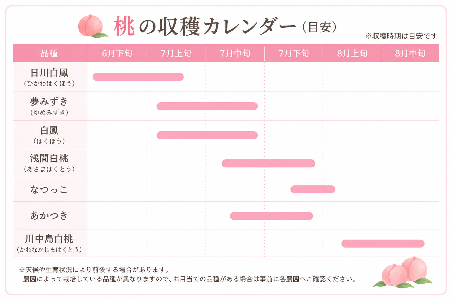 活動歴および当時の関連ビジュアル記録