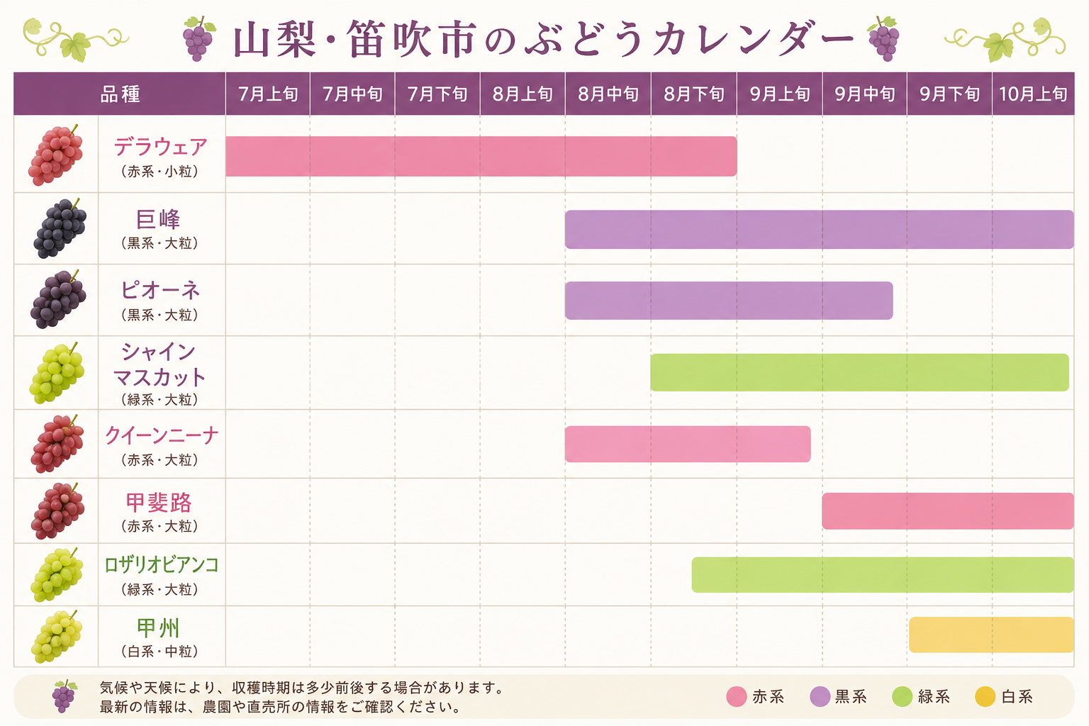 山梨のぶどう品種別収穫カレンダー